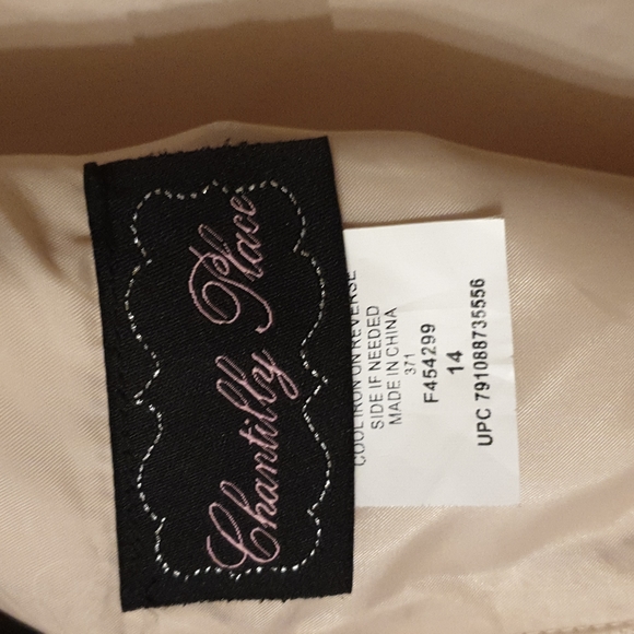 Chantilly Place Big Girls 14 Beaded-Waist Wire-Hem Long Dress wedding  dress - Picture 14 of 16